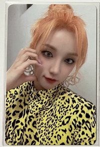 I LOVE 專輯卡 專卡