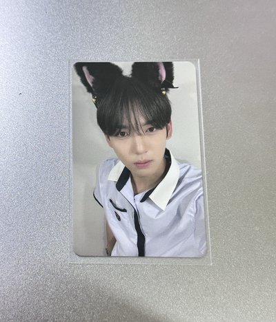 ‎✶ 制服貓咪辰