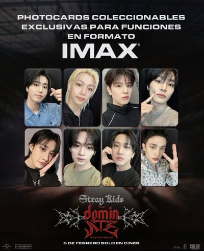 3rd 世巡 電影卡 Stray kids 一套！