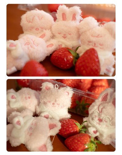 六期 FM 潦草 優先購