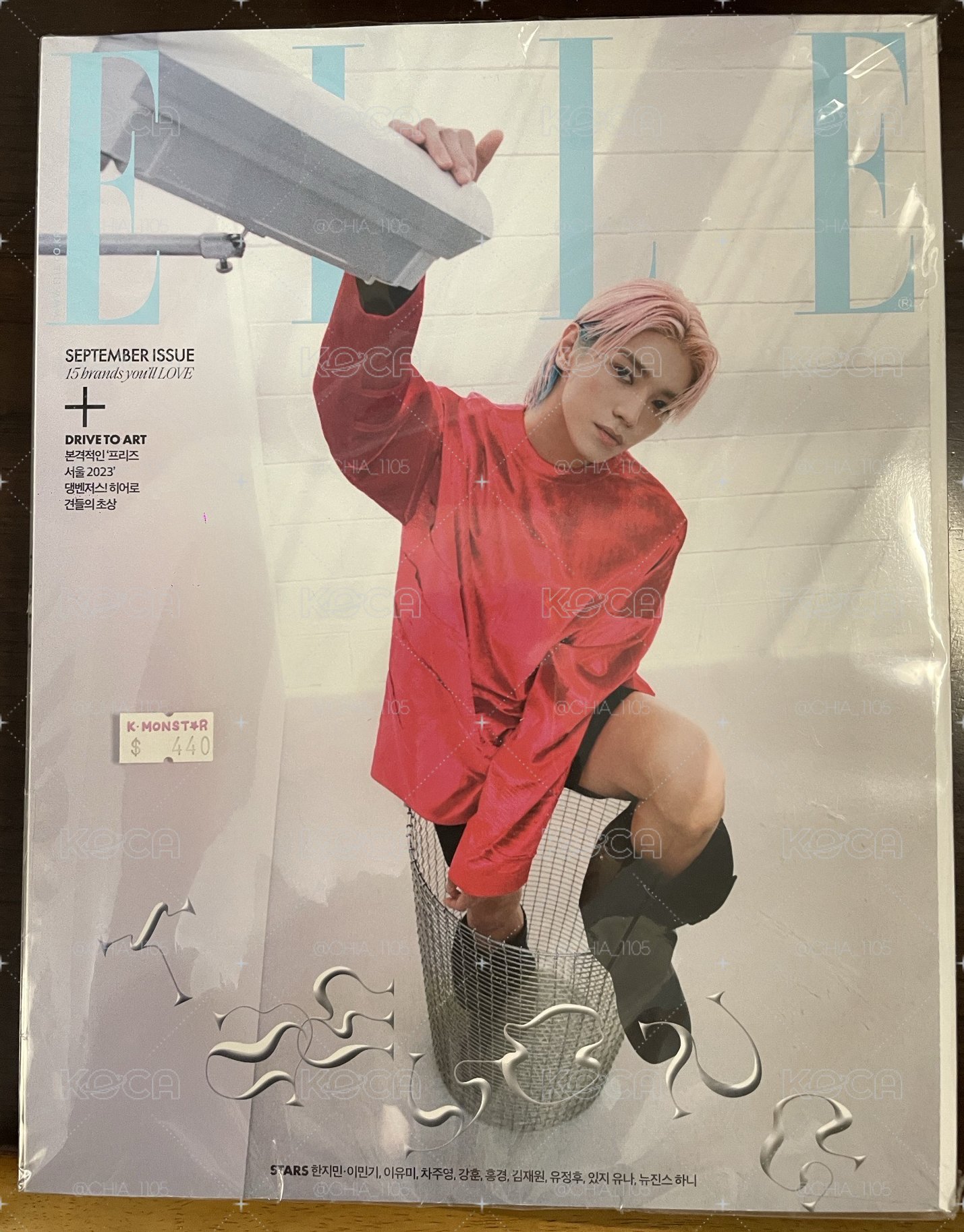 泰容ELLE雜誌
