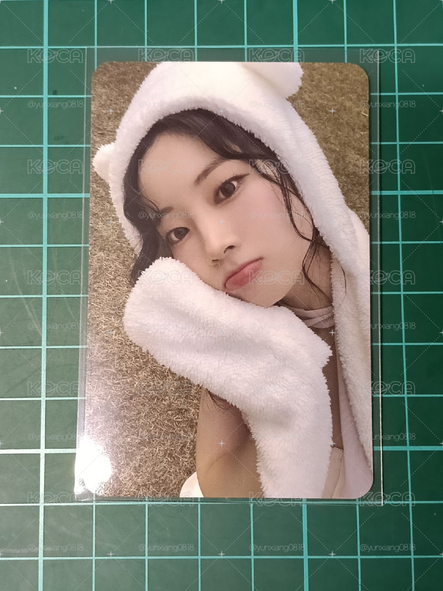 熊帽多🐻‍❄️🦅