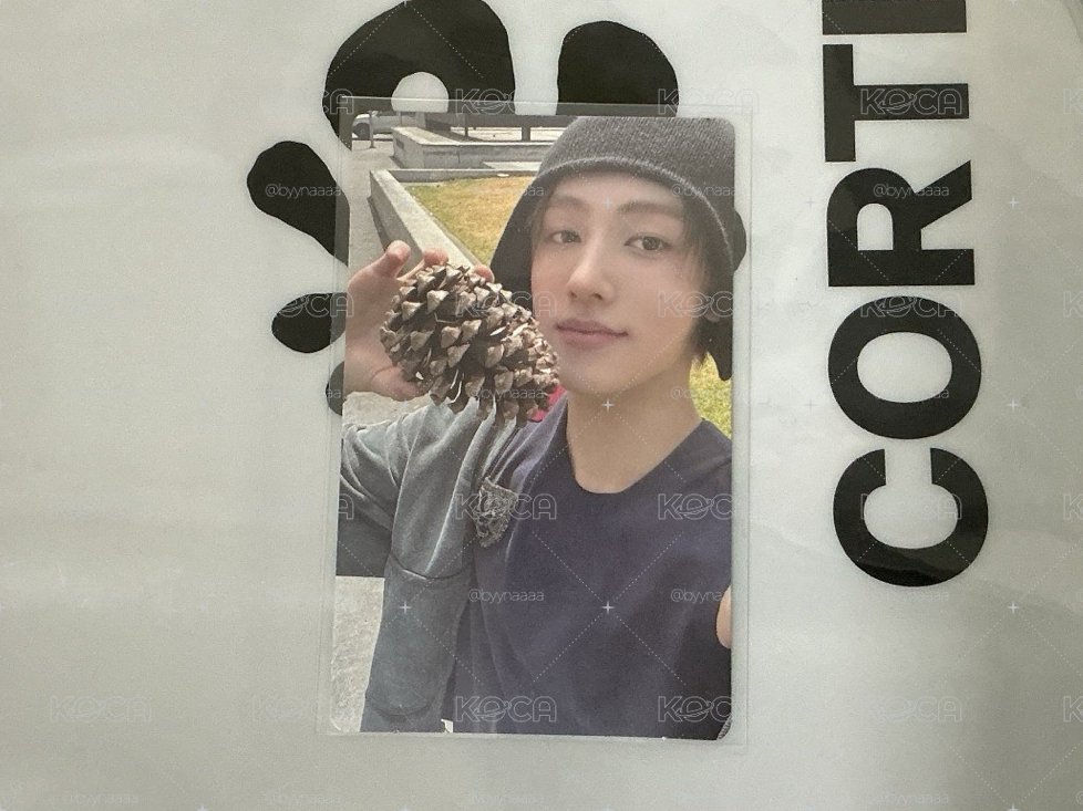 wvs預售玹🧂
