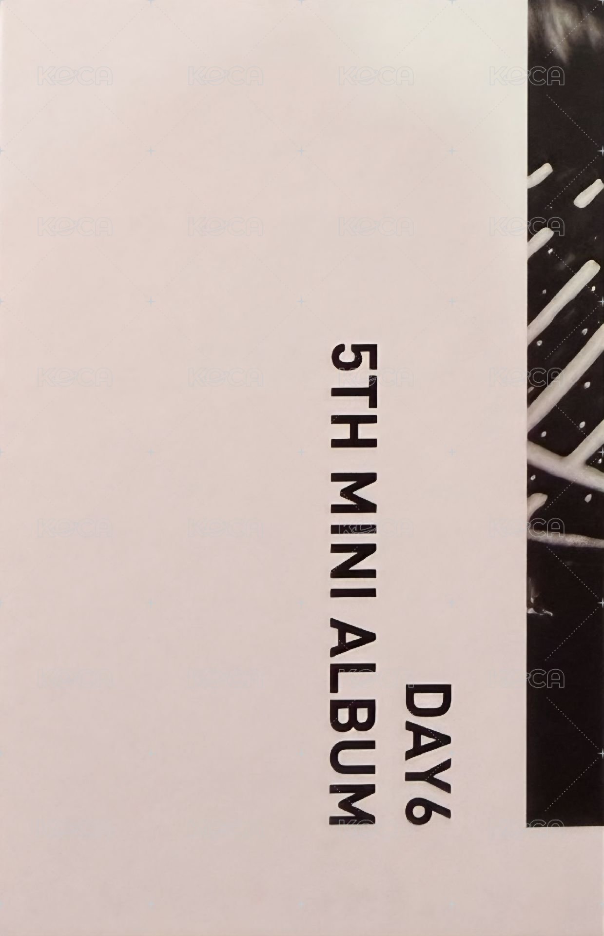 迷五 一般專 專輯卡 雙人卡 背面