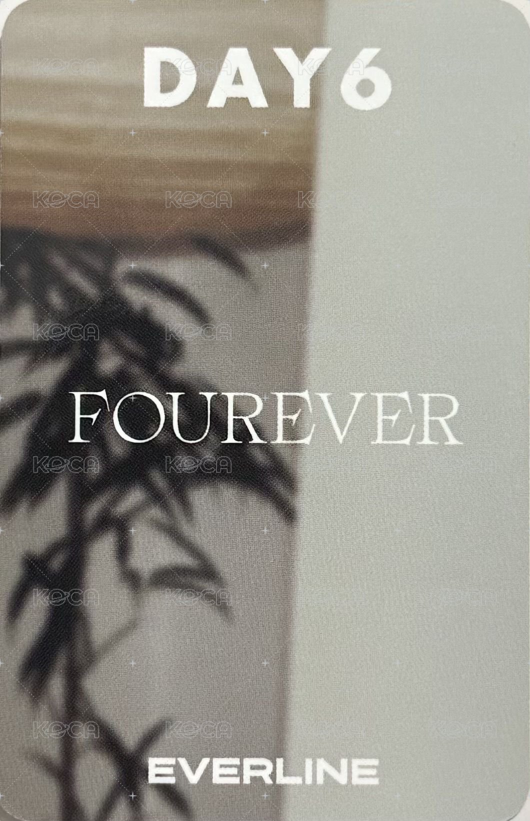 迷八 el 簽售卡  背面