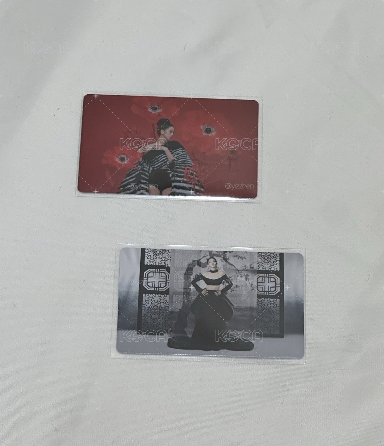 ME wvs特典 智秀
