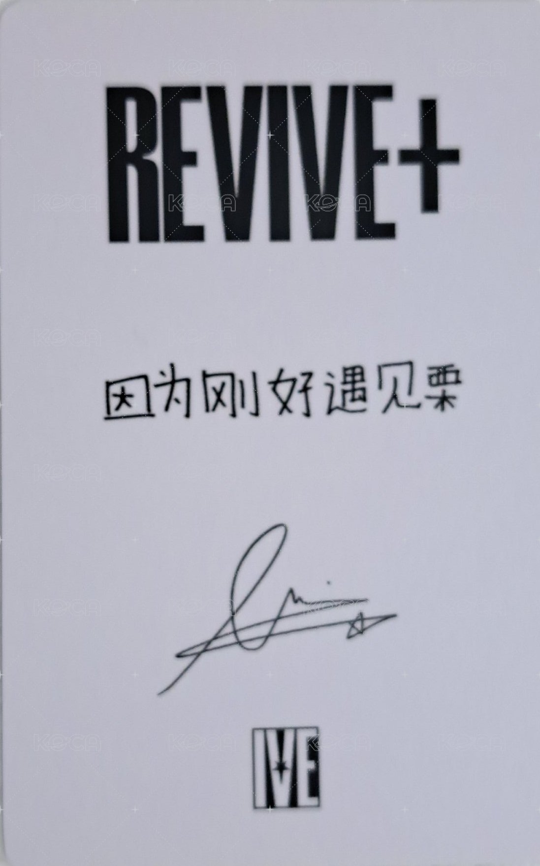 REVIVE+ 京東 1.0 特典卡  背面
