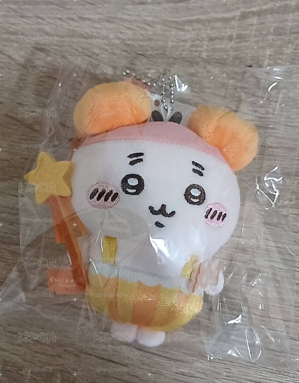 南瓜古本