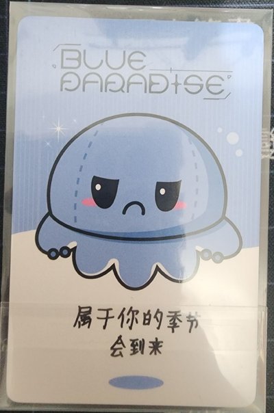 迷你五泰來中背