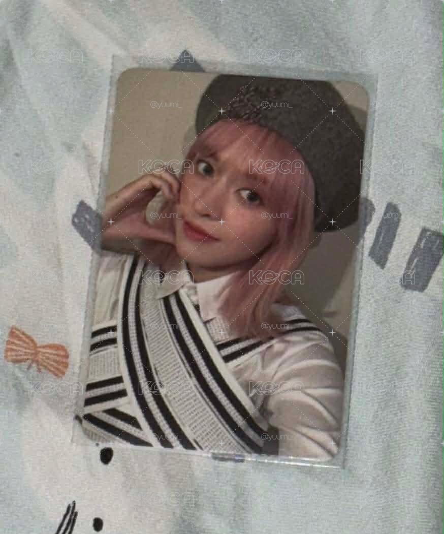 莉 expérgo 專輯卡 