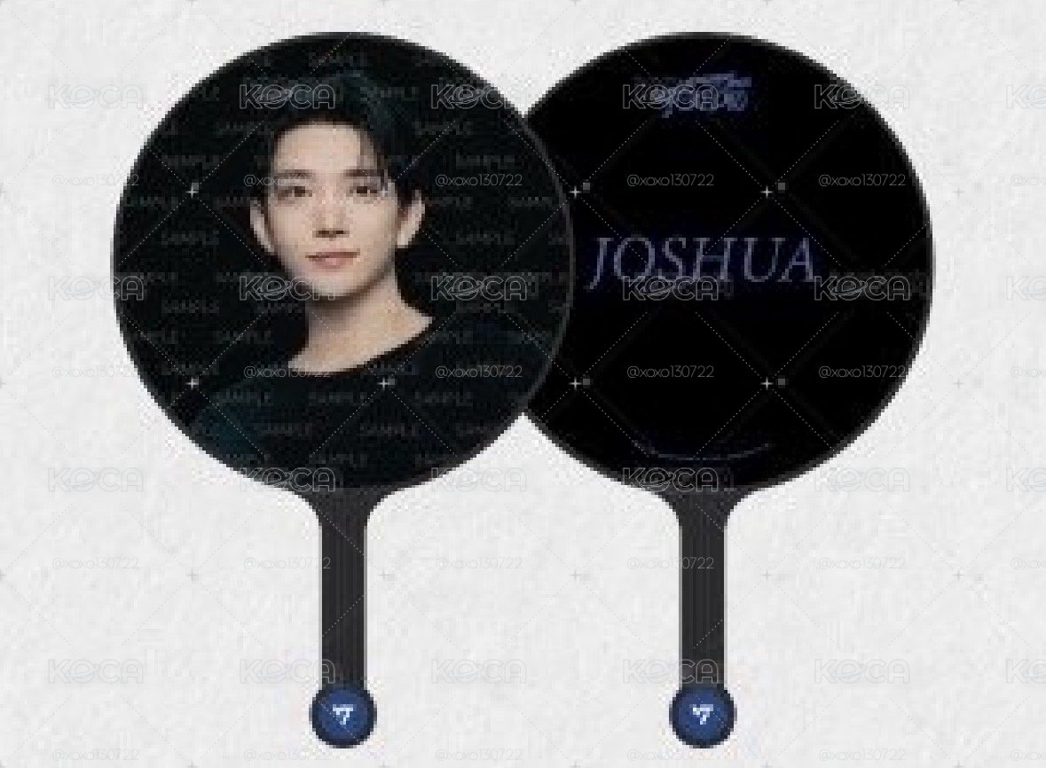 SEVENTEEN｜Joshua Follow Again 仁川大扇+韓站手幅