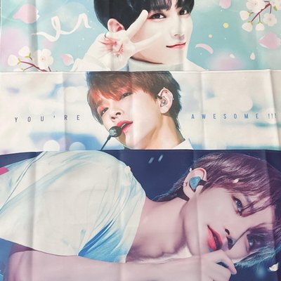 SEVENTEEN｜Joshua 大扇+手幅