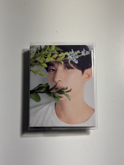 SEVENTEEN THE8 徐明浩  DK 李碩珉 WONWOO 全圓佑 克拉盤