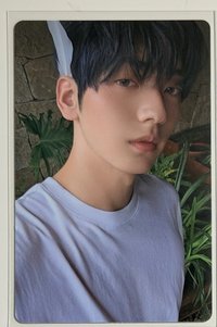 崔秀彬 迷七專卡