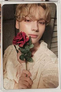 休寧 迷六玫瑰小卡