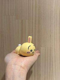 miniso栗子頭兔兔公仔+明盒公仔+miniso趴姿兔兔公仔