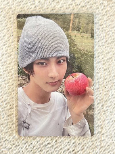 沙漠狗狗耳小蒸