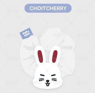 喆 miniteen髮圈 + RIGHT HERE 證件照卡冊