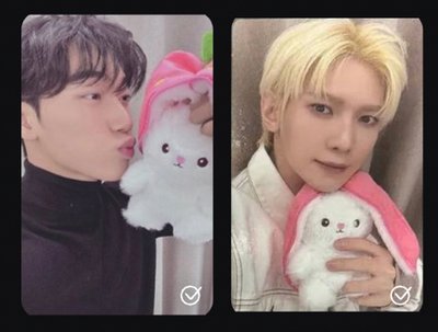 TOKTOQ 特典🍓🐰ver. 尚傘單卡+傘單封不拆