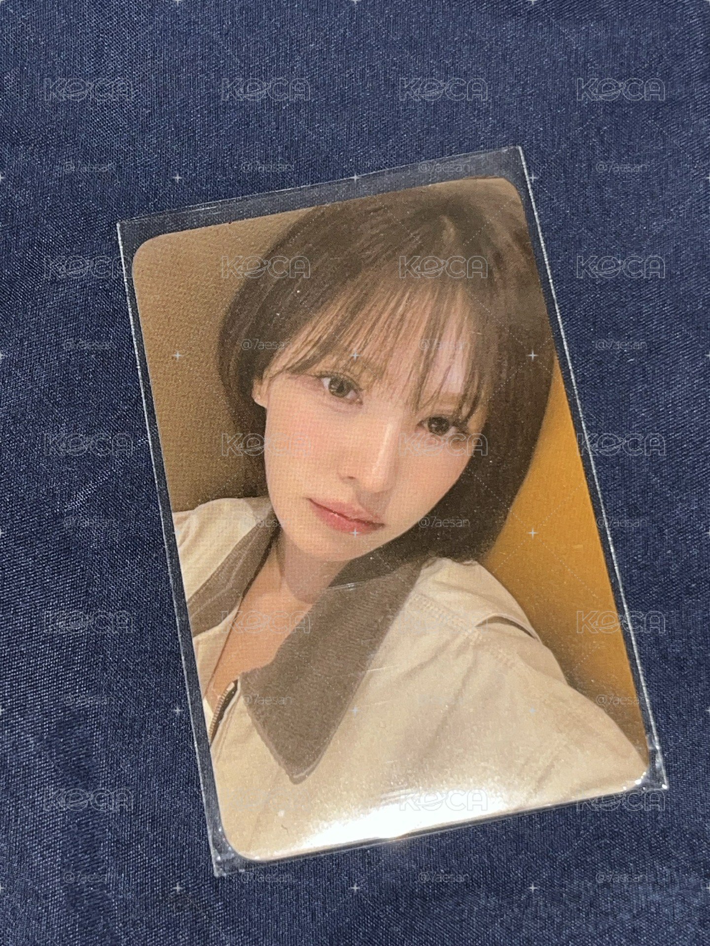 Wendy櫻花季小卡