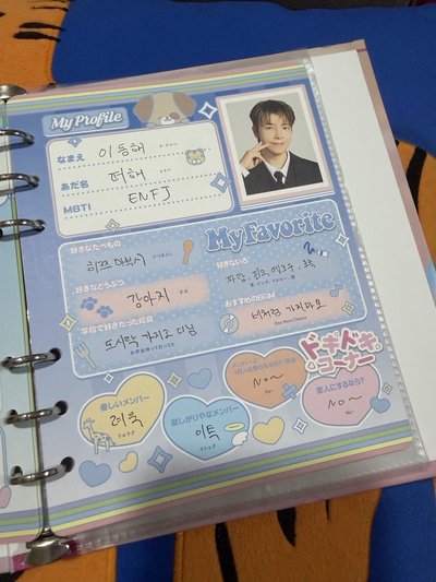 SS10 日週 20週年成員資料手帳/紀念冊