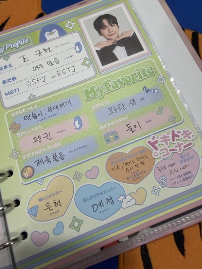 SS10 日週 20週年成員資料手帳/紀念冊