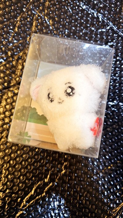 Keria 潦草娃 有盒