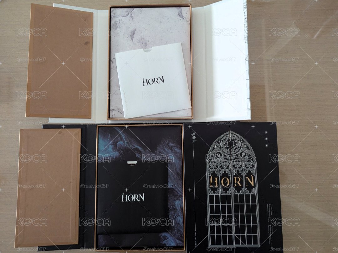 Apink HORN 空專