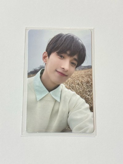 碩 正四 專輯卡 wvs電子專