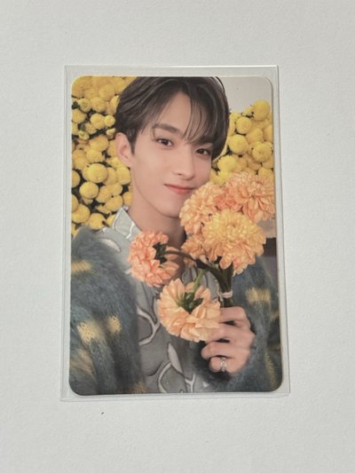 捧花碩 MINI8 專輯卡 ｜ONESIDE ver.