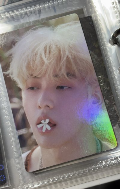 迷五 wvs PB版 特典卡 