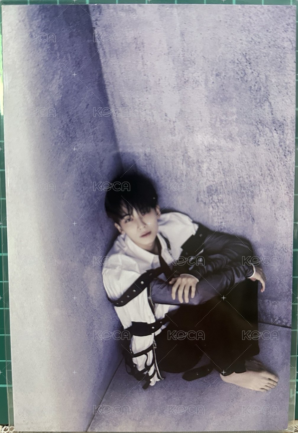 正四 ep2.Shadow 明信片  背面