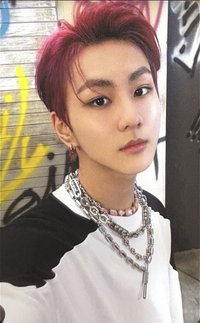 定めSADAME 專輯卡 單封卡