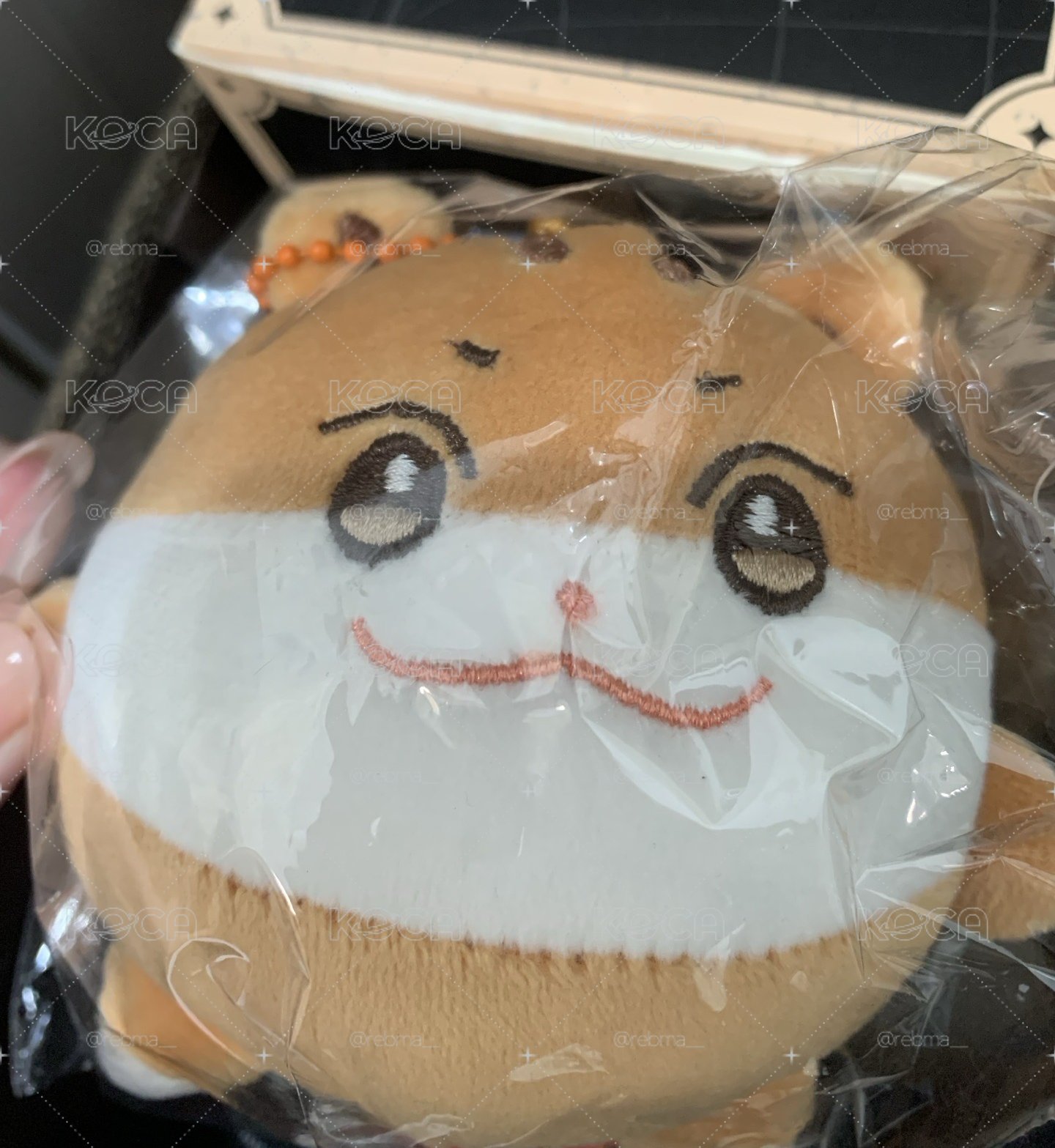 中拉米壓力球