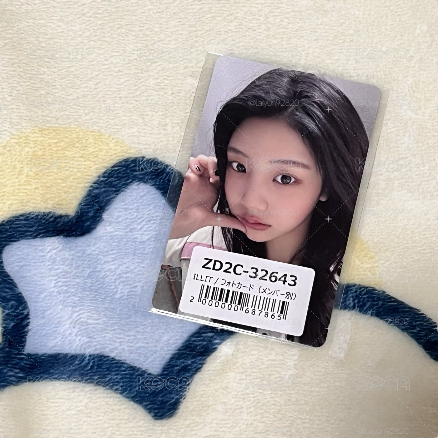 NOT CUTE環球預售 禧