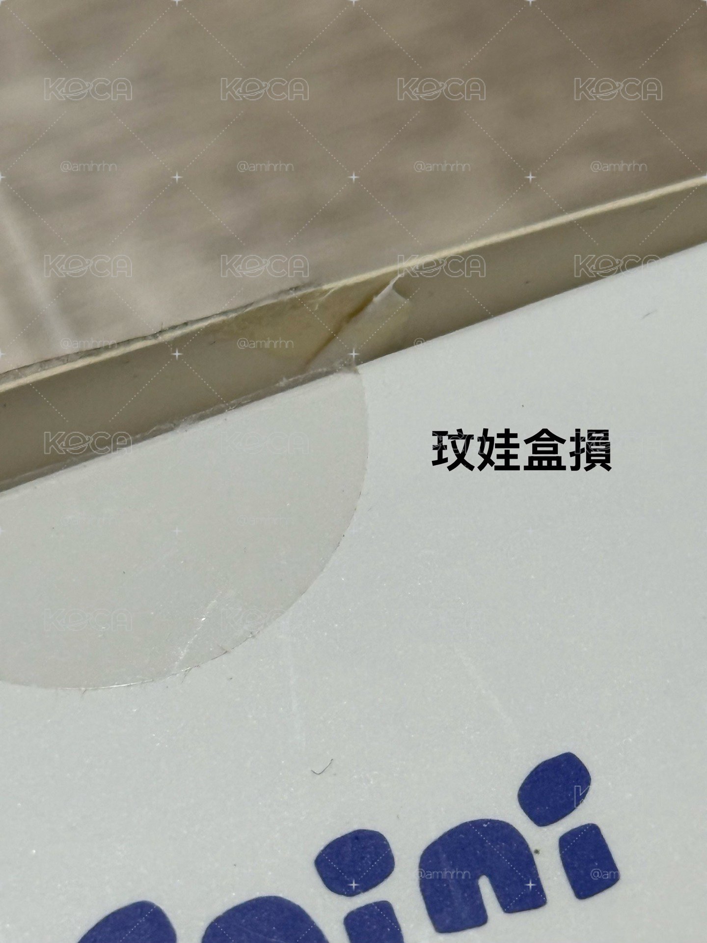 玟哈貓 變裝娃 bunini 