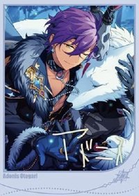 限定招募 拍立得 二彈 花後