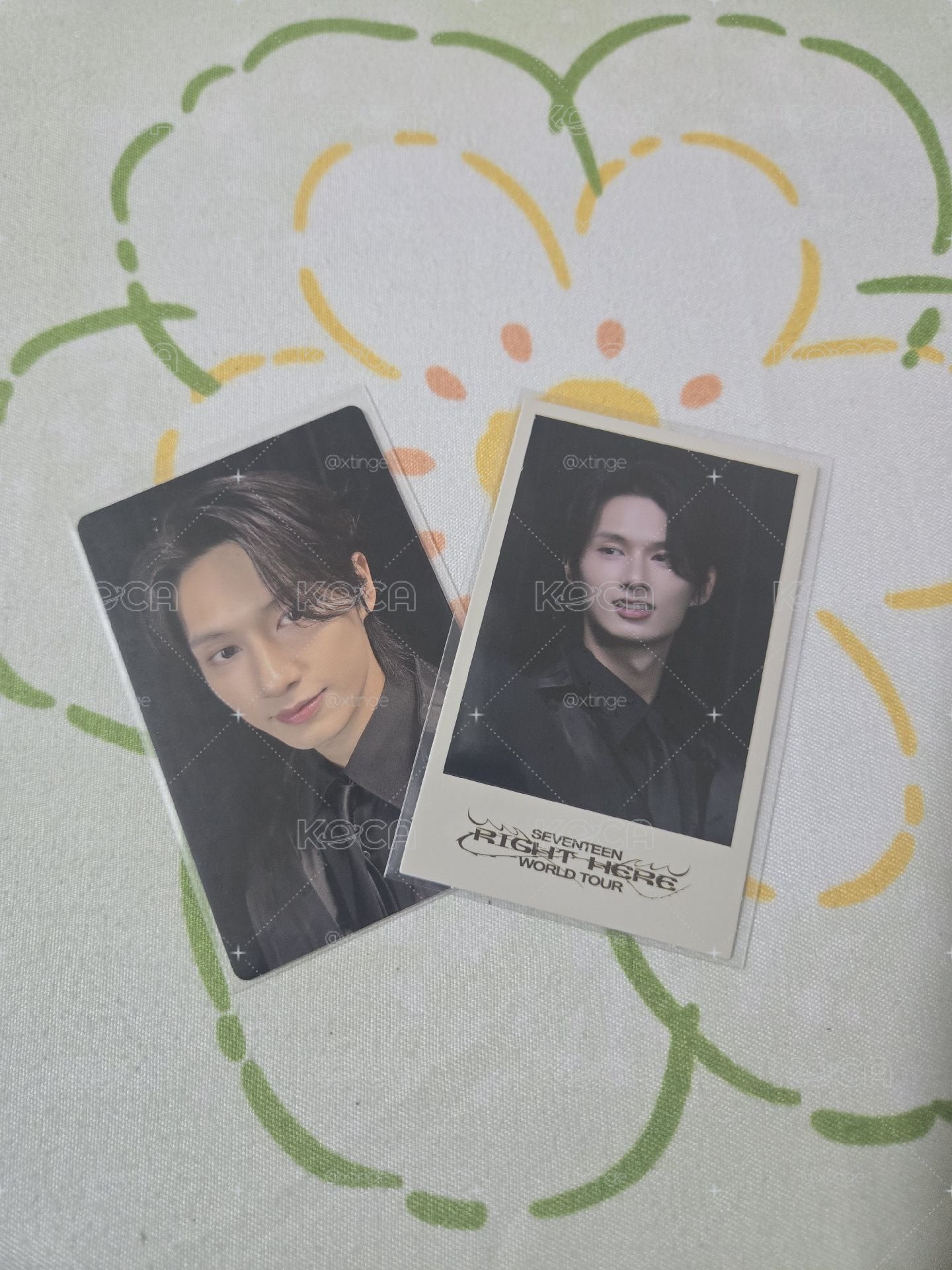 RIGHT HERE 演唱會 DVD / CD 卡 