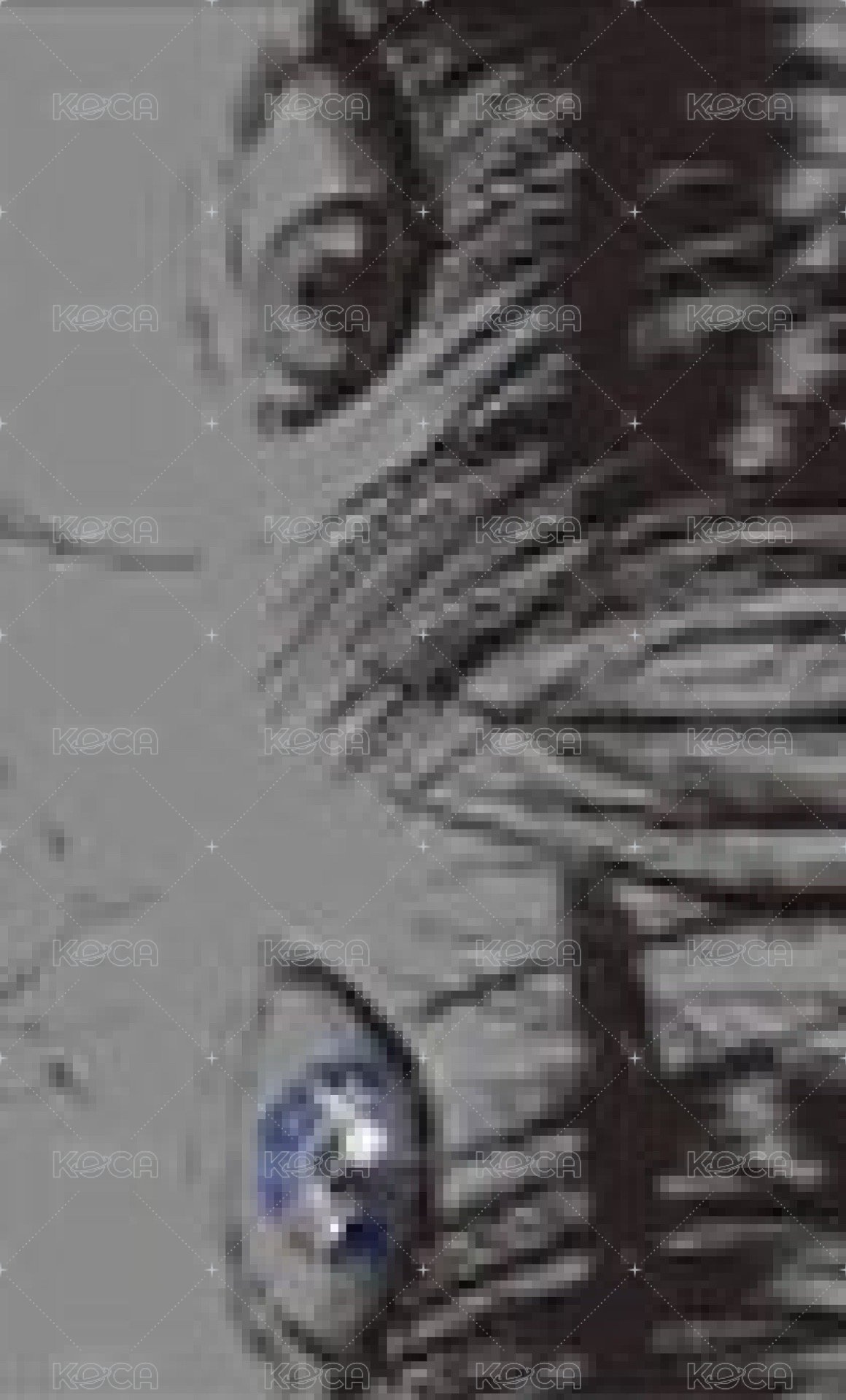 金成旼