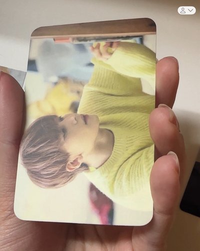 SEVENTEEN淨漢 草地公放/特一公放/拳王漢/庫柏力克熊卡