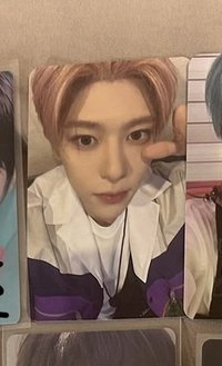 Sion songbird smini 專卡