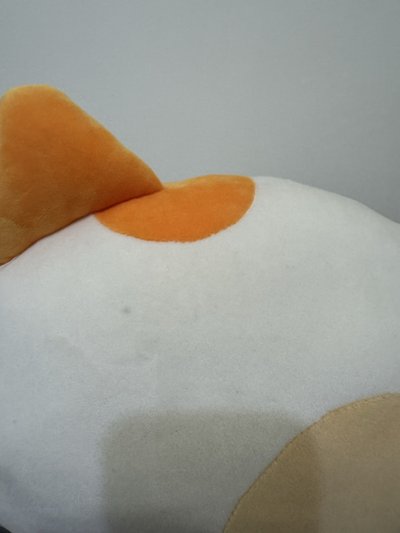 貓比抱枕 CATBBI 閱讀商品說明再下單～