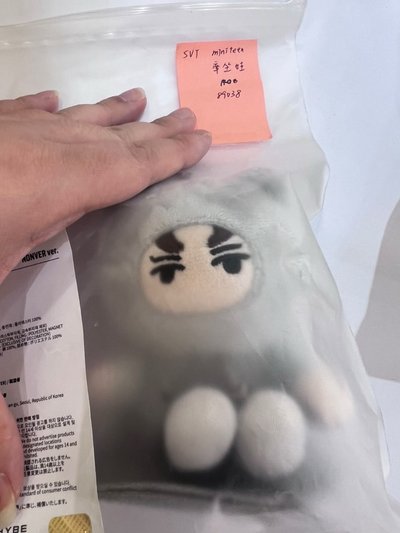 💎SEVENTEEN MINITEEN坐娃