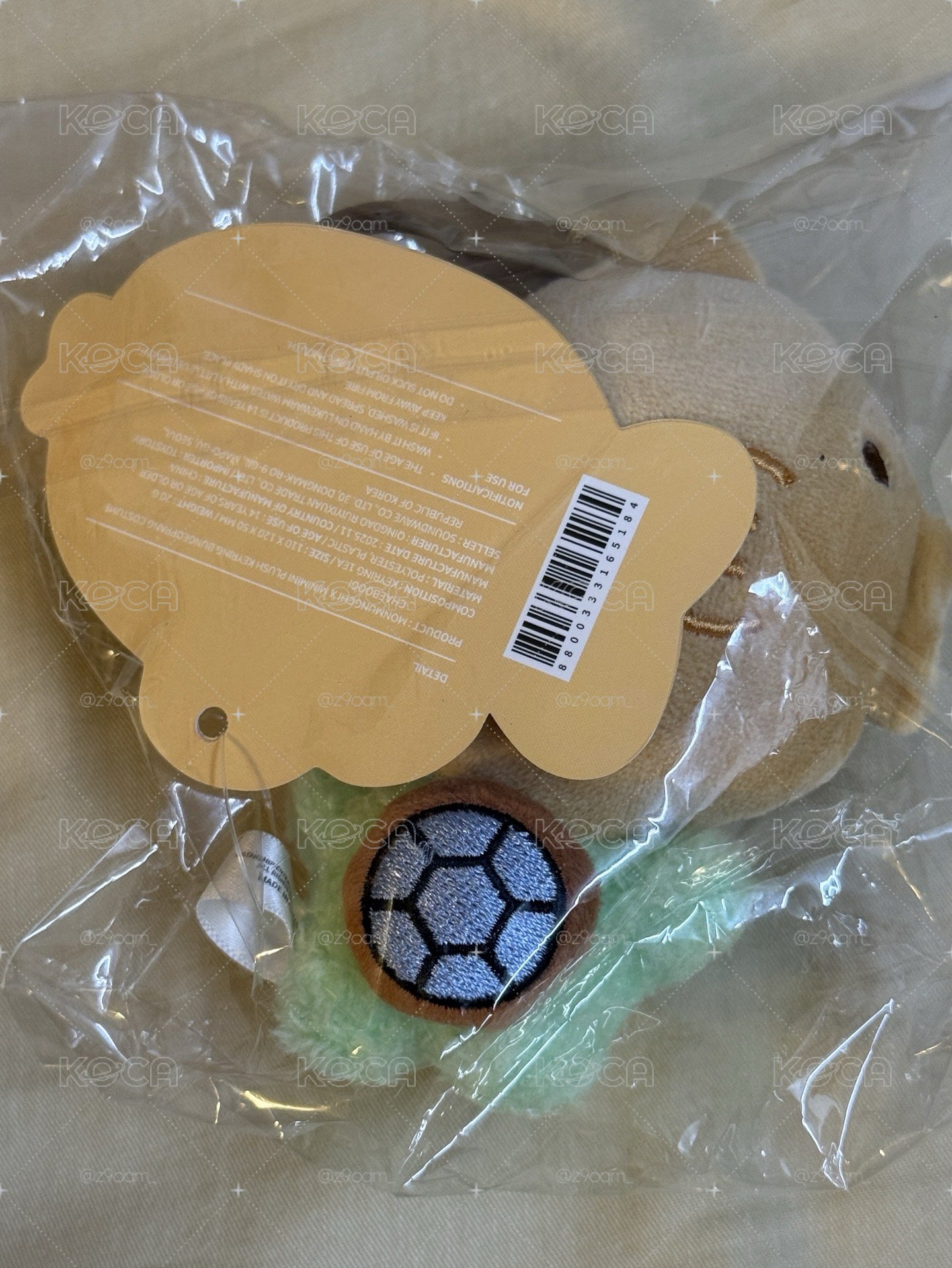 鯛魚燒🐢