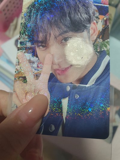 有損 哲 奎 抽選卡