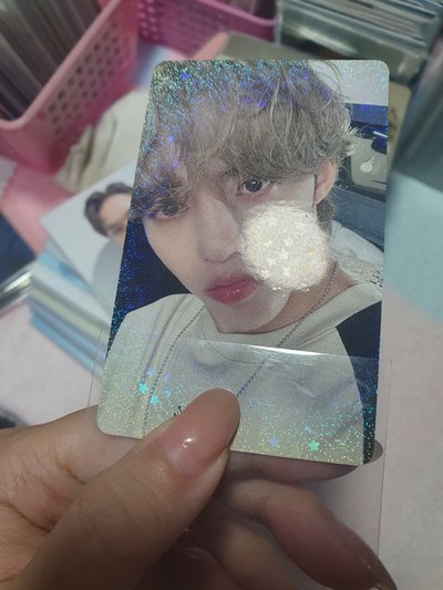 有損 哲 奎 抽選卡