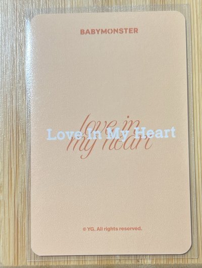 25世巡 拼圖卡 周邊卡 /ASA