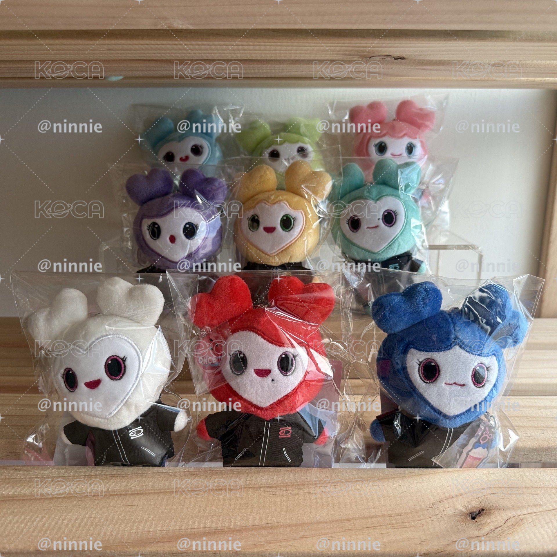 【現貨速出】TWICE 新國立 吊飾 娃娃