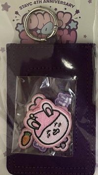 4週年快閃 愛豆驛站 卡套 (組) 