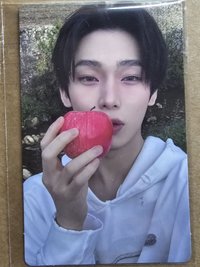 迷七 wvs 特典卡 